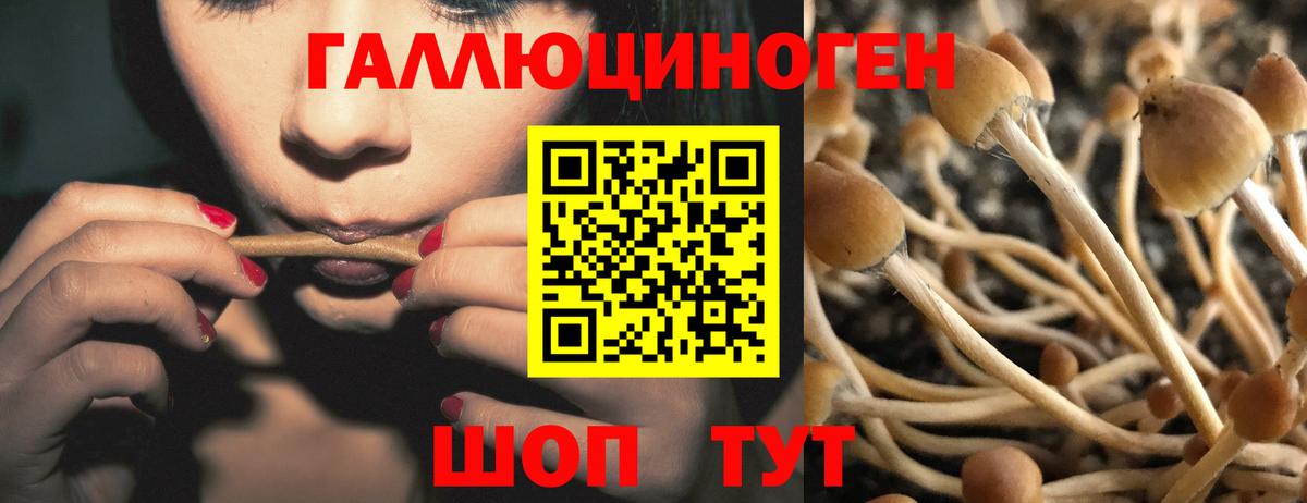 Галлюциногенные грибы GOLDEN TEACHER  Псилоцибиновые грибы GOLDEN TEACHER  Вход с VPN  Ступино 