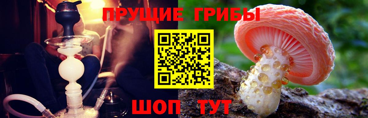 Псилоцибиновые грибы Cubensis Ступино